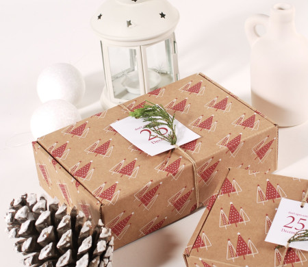 Rectangular Box For Christmas Gifts | SelfPackaging