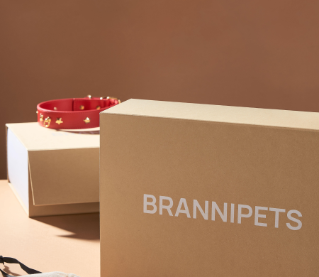 Caja forrada automontable con impresión de Brannipets Caja forrada automontable con impresión de Brannipets