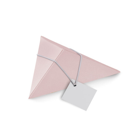 Triangular Cardboard Box