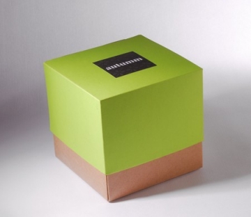 Caja bicolor verde para regalo