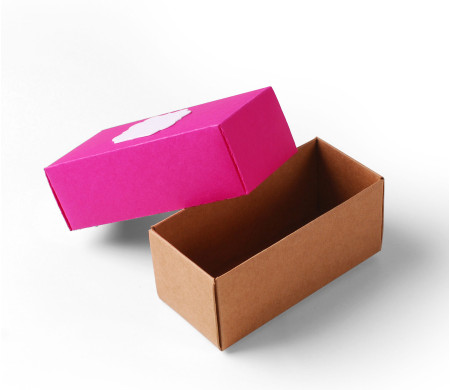 Caja de Cartón con Tapa Ideal para Regalo