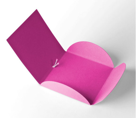 Caja para Fotógrafos ¡Para Entregar Tus Fotos!
