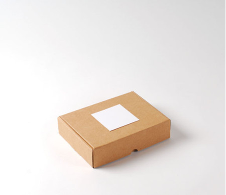 Self-assembling Rectangular Box