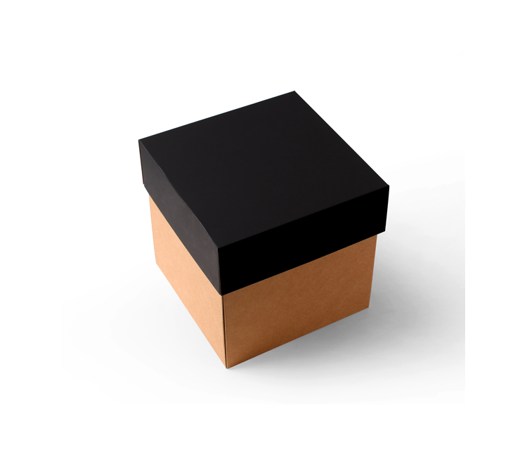 Caja para Envíos con Tapa Independiente Caja para Envíos con Tapa Independiente