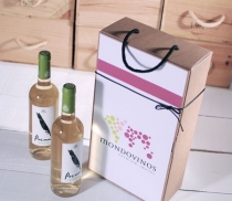 Wine bottle box with hanger 