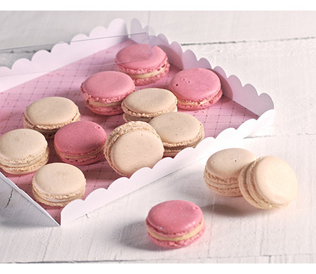 Scatola per biscotti con coperchio trasparente Scatola per biscotti con coperchio trasparente