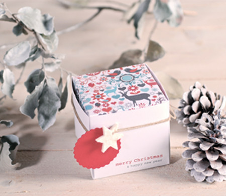 Boîte Carrées de Noël Imprimées