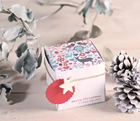 Caja cuadrada impresa para...