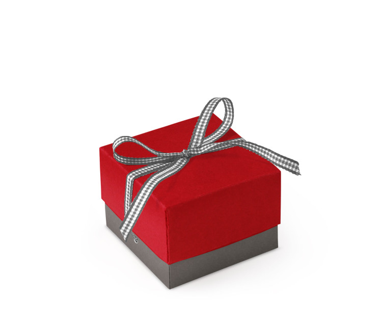 Bonita Caja Regalo con Tapa y Lazo Decorativo Bonita Caja Regalo con Tapa y Lazo Decorativo