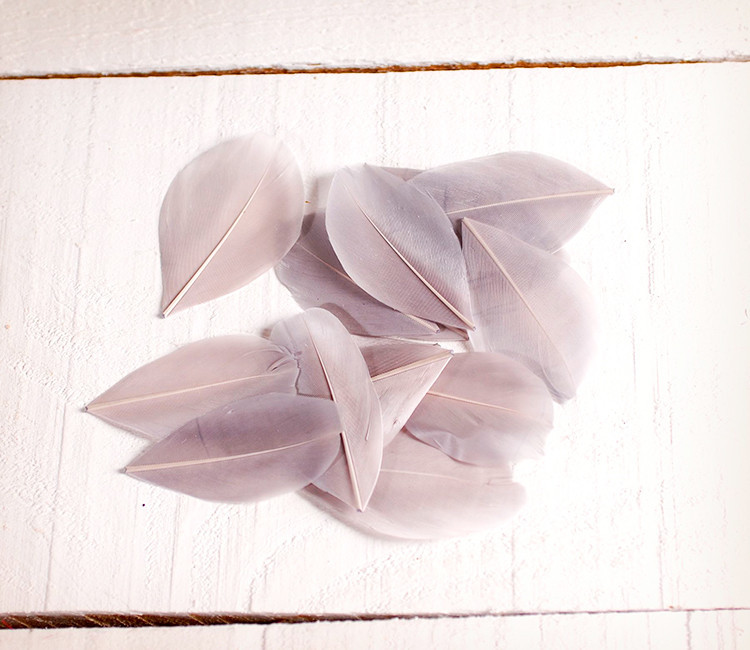 Plumes pour loisirs créatifs Plumes pour loisirs créatifs
