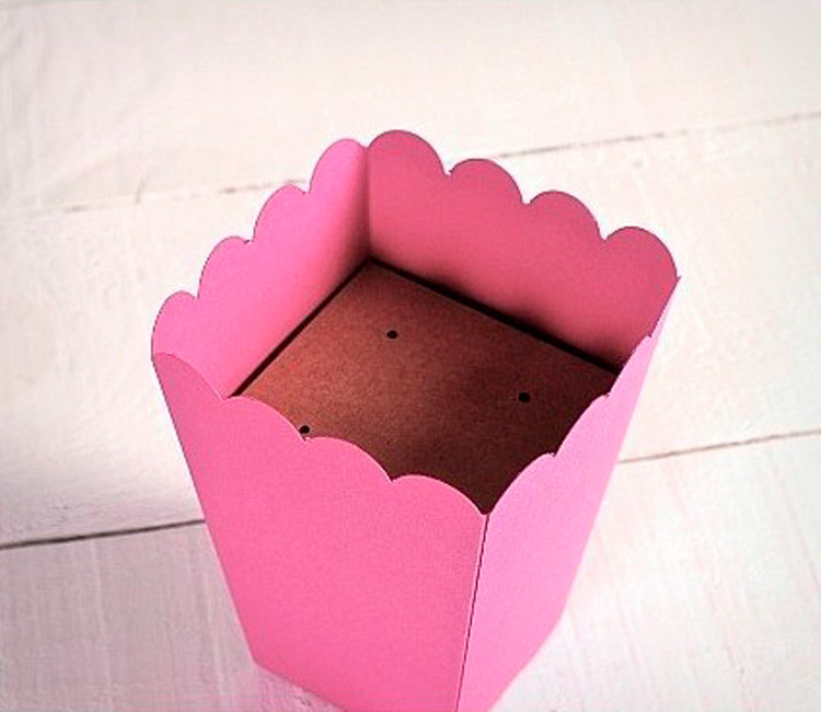 Support cake pop Personnalisé | SelfPackaging