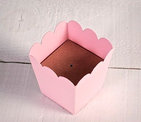 Holder Cake Pop | SelfPackaging