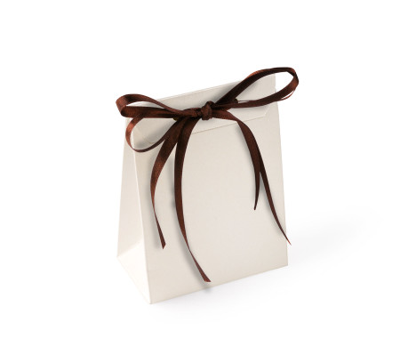 Paper Gift Bag for Chocolates or Sweets