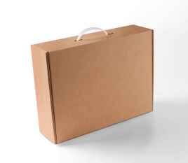 Carrying case box with handle
