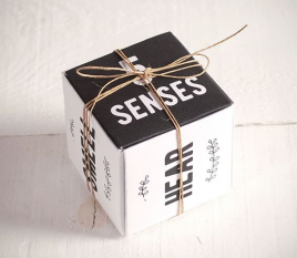 Caja de los 5 sentidos 