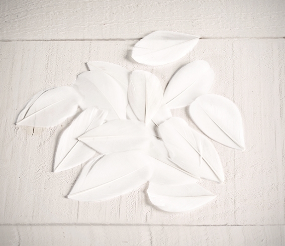 Pluma decorativas color Blanco. Plumas Decoración y Manualidades.