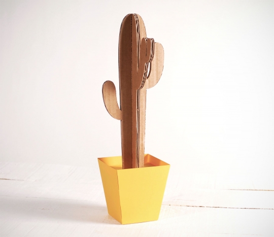 Cactus alto con vaso colorato