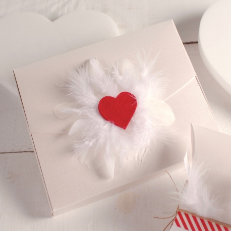 Box with heart and feathers