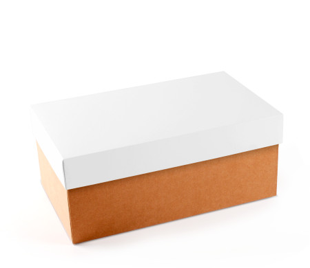 Caja para Zapatos ¡Organiza tu Calzado!