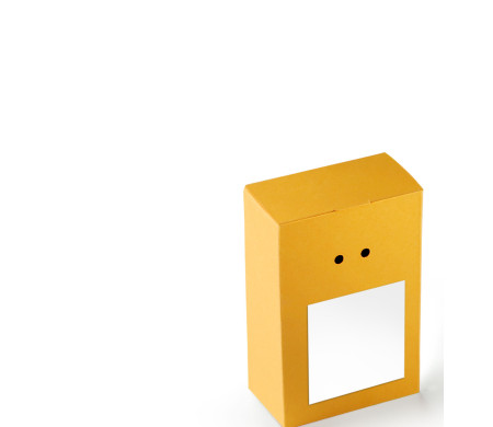 Caja Regalo de Cartón con Un Cierre Muy Original