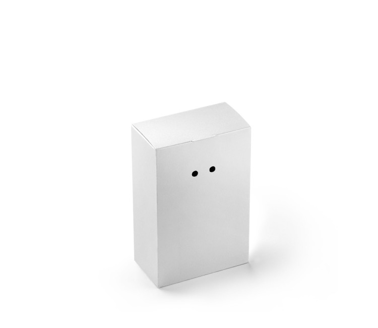 Boîte Cadeau en Carton avec Fermeture Originale