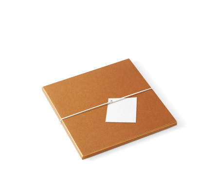Caja para Fotógrafos ¡Para Entregar Tus Fotos!