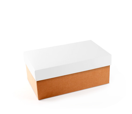 Caja para Zapatos ¡Organiza tu Calzado!