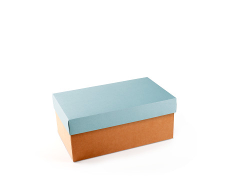 Caja para Zapatos ¡Organiza tu Calzado!