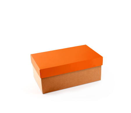 Caja para Zapatos ¡Organiza tu Calzado!
