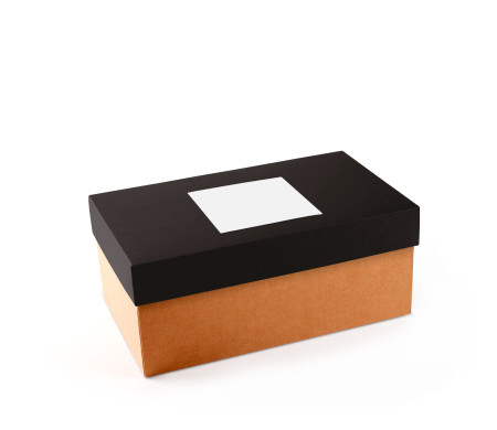 Caja para Zapatos ¡Organiza tu Calzado!