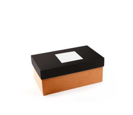 Caja para Zapatos ¡Organiza tu Calzado!