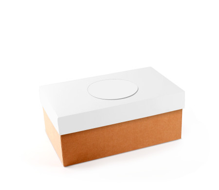 Caja para Zapatos ¡Organiza tu Calzado!
