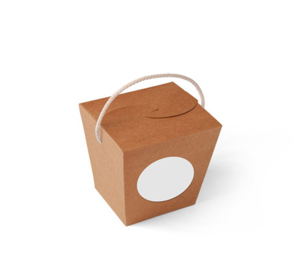 Caja de Fideos Chinos