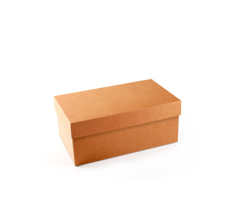 Caja para Zapatos ¡Organiza tu Calzado!