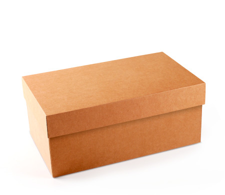 Caja para Zapatos ¡Organiza tu Calzado!