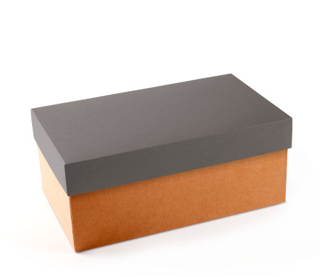 Caja para Zapatos ¡Organiza tu Calzado!
