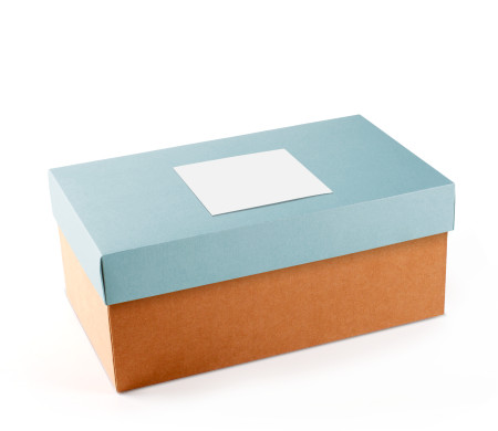 Caja para Zapatos ¡Organiza tu Calzado!