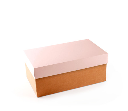 Caja para Zapatos ¡Organiza tu Calzado!