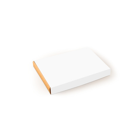 Flat delivery box for postal service deliveries.