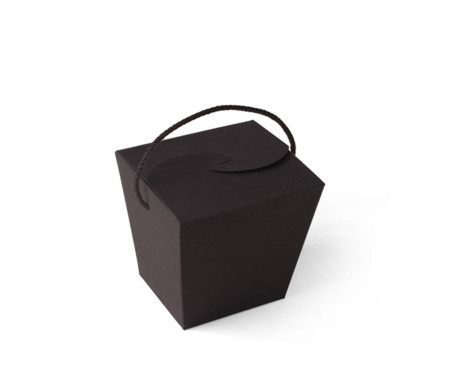 Caja de Fideos Chinos
