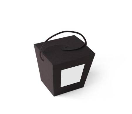 Caja de Fideos Chinos
