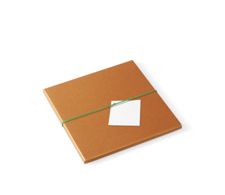 Caja para Fotógrafos ¡Para Entregar Tus Fotos!