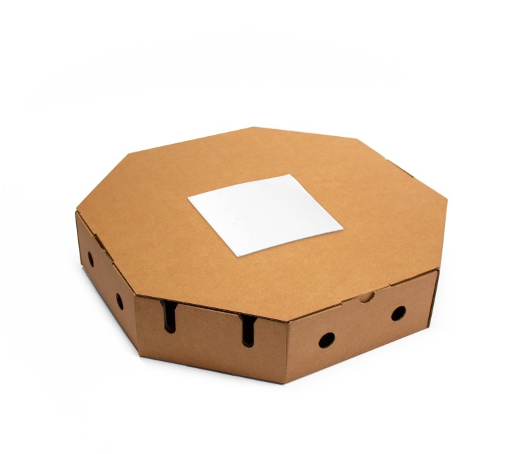 Caja para paellas take away Caja para paellas take away