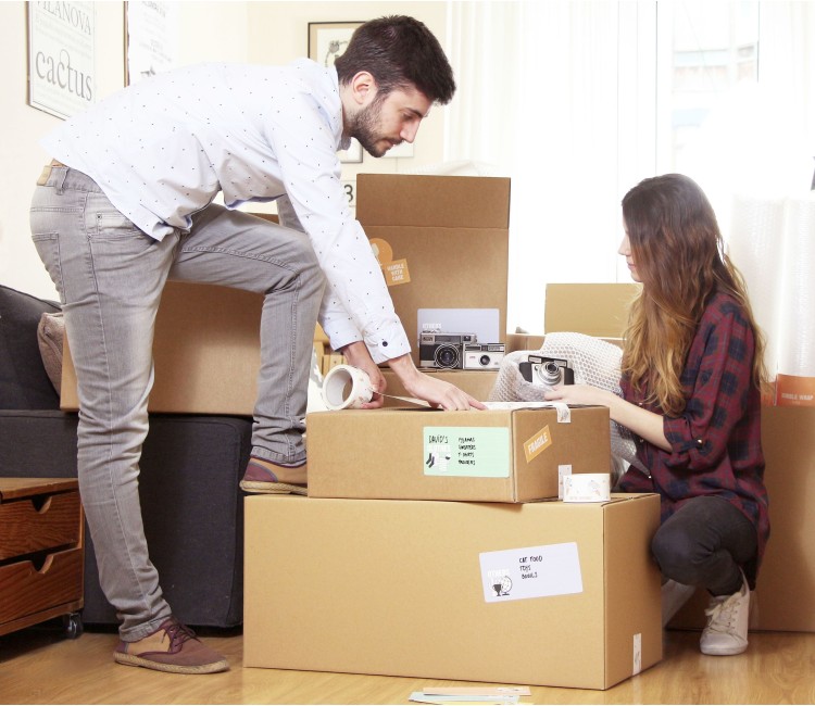 Kit 21 removal boxes