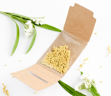 Cajita Semillas para Regalar a los Invitados 