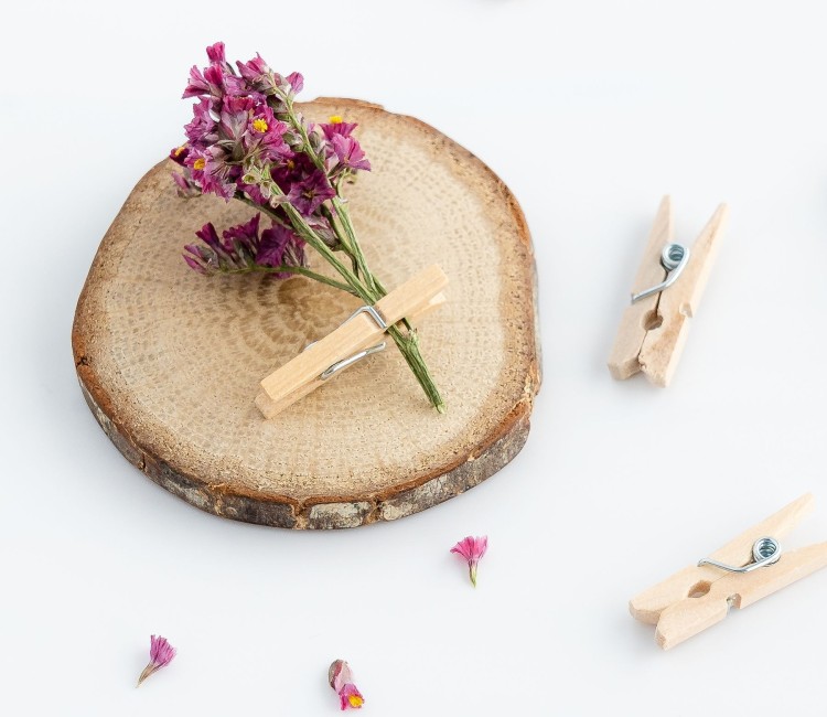 Mini pinze in legno Mini pinze in legno