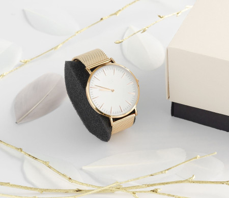 Spugna per orologi