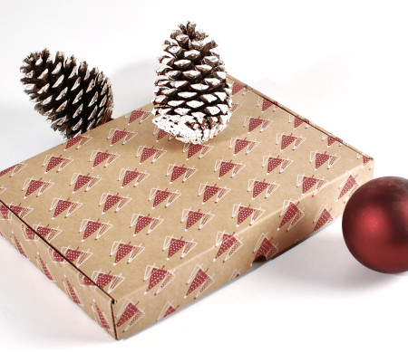 Scatola per invio postale Natale