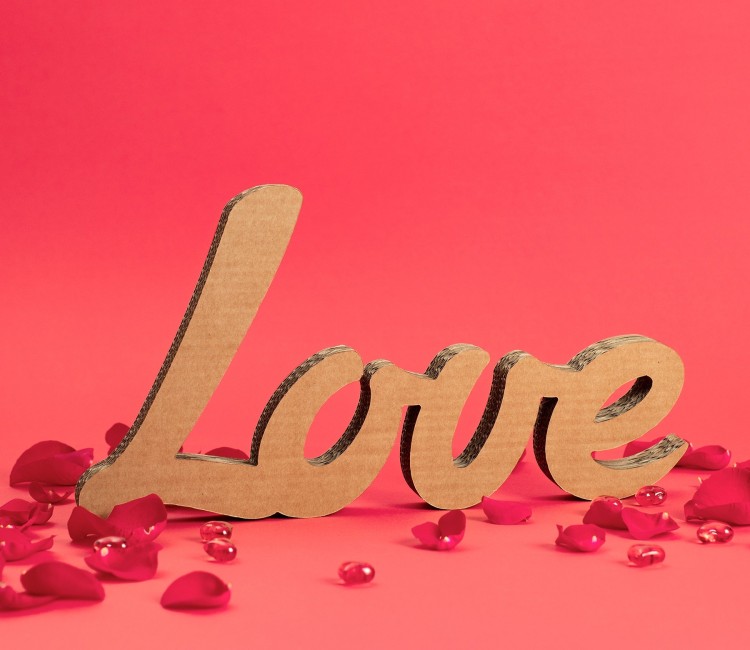LOVE Cardboard Letters LOVE Cardboard Letters