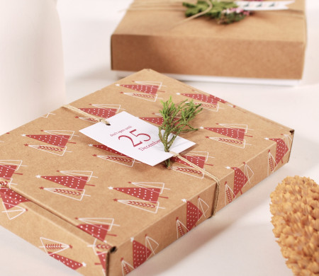 Christmas printed cardboard shipping boxes